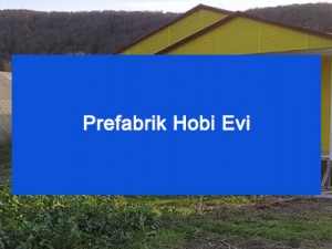 Prefabrik Hobi Evi Prefabrik Hobi Evi